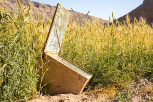 Backen im Weizenfeld: Nachhaltiges Solar-Backen mit Christian Vera